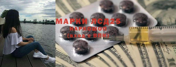 амф Новозыбков