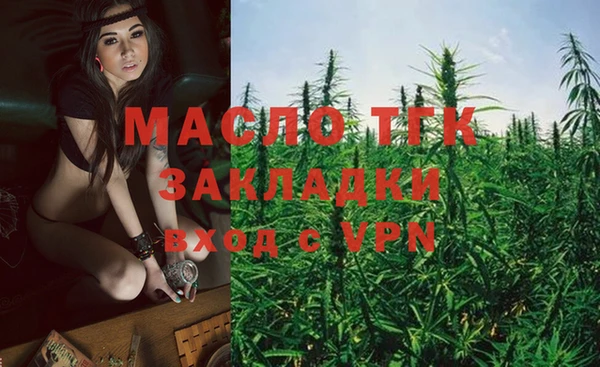 амф Новозыбков