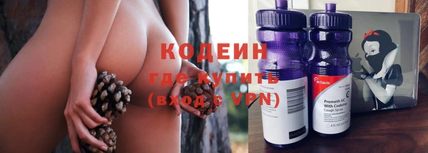 мяу мяу мука Няндома