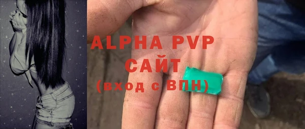 амф Новозыбков