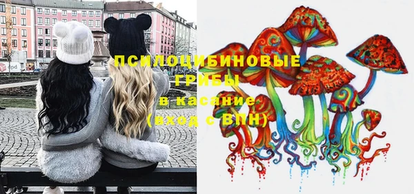 амф Новозыбков