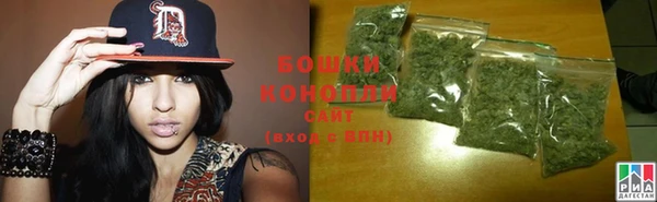 амф Новозыбков