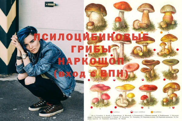 мяу мяу мука Няндома