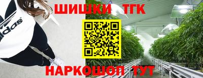 мдпв Бийск
