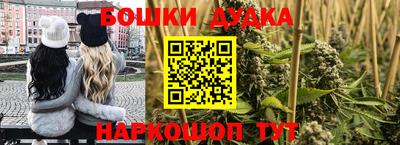 мдпв Бийск