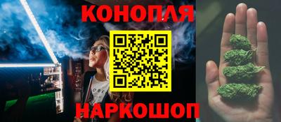 мдпв Бийск