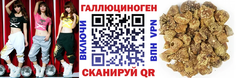 купить наркотик  Вязьма  Псилоцибиновые грибы Cubensis 
