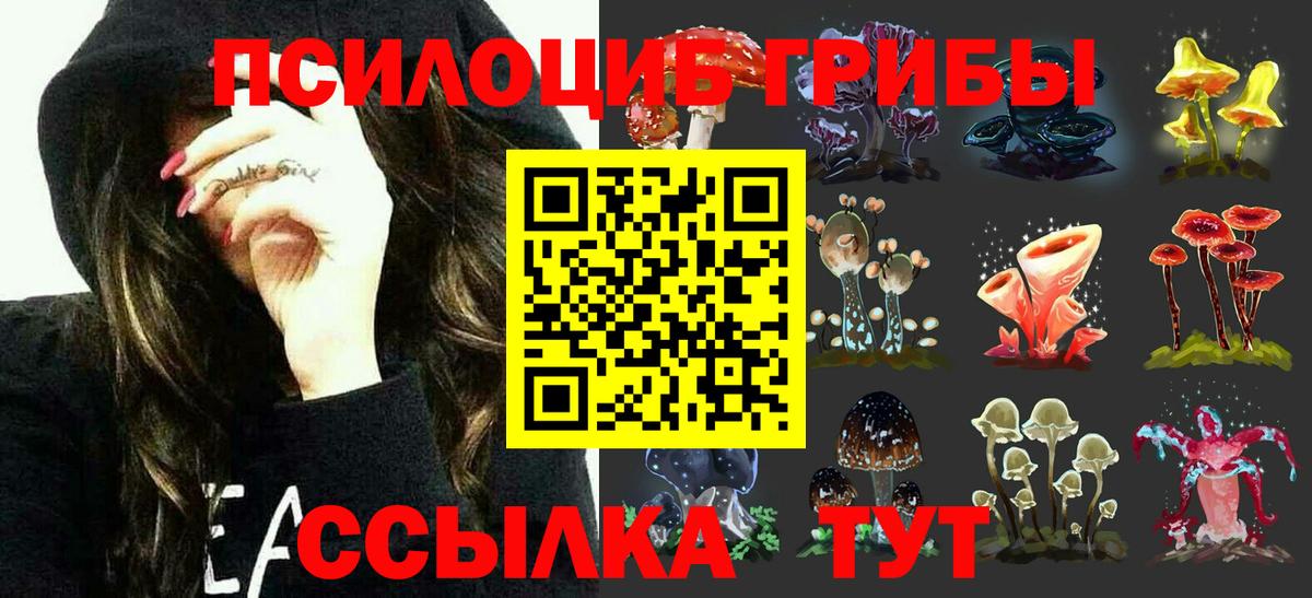 Псилоцибиновые грибы мицелий  Вязьма 