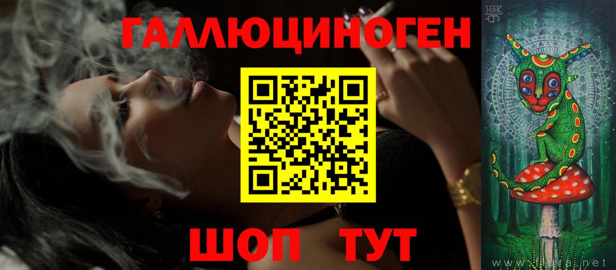 Галлюциногенные грибы Psilocybine cubensis Вязьма