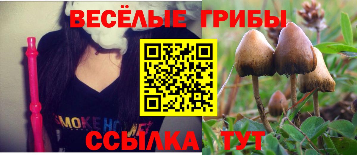 Галлюциногенные грибы мухоморы  Вход с VPN  Псилоцибиновые грибы MAGIC MUSHROOMS  Вязьма 